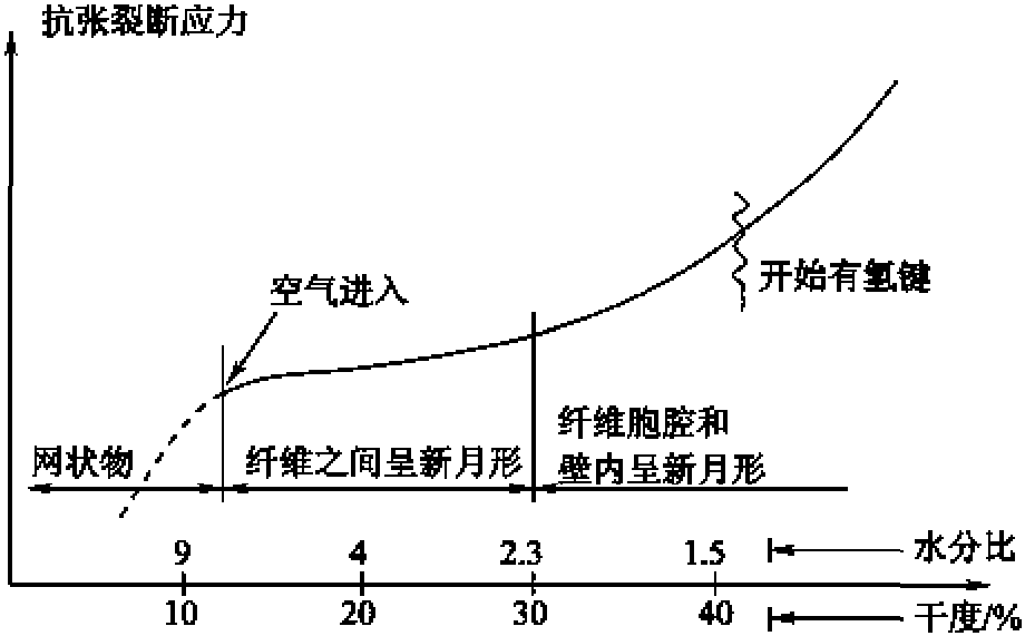 二、紙張結(jié)構(gòu)形成